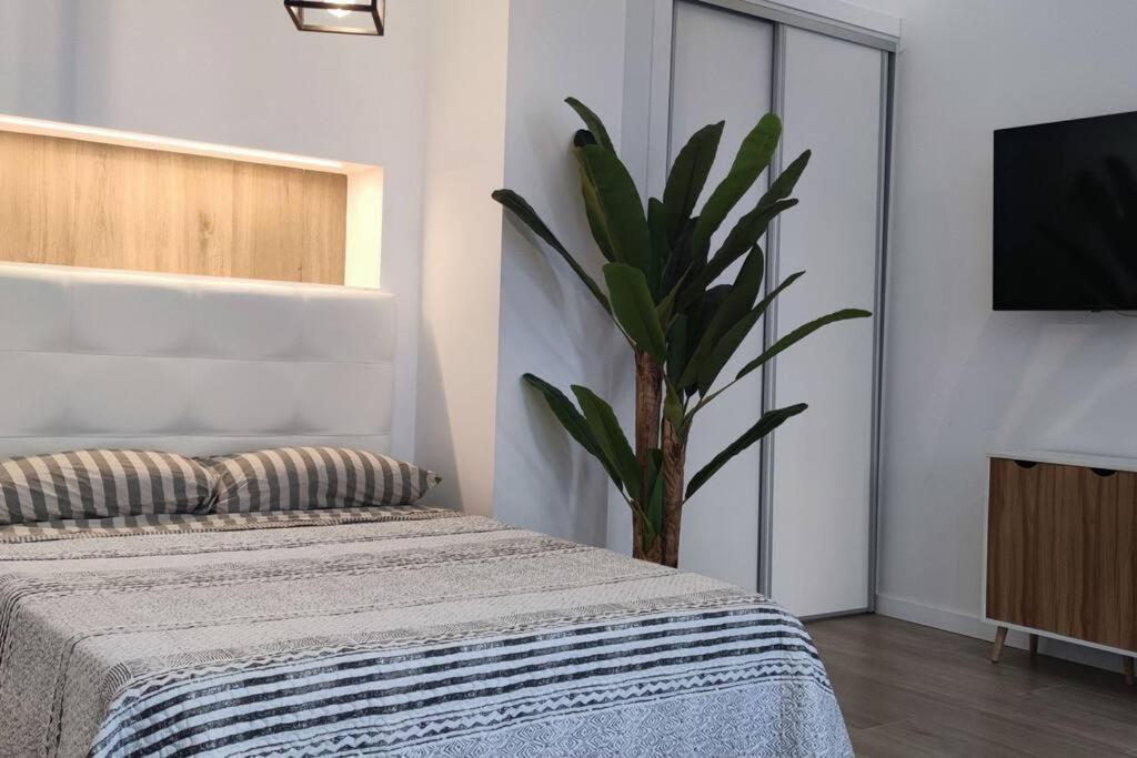 Estudio Diseno Cerca Ciudad Ciencias Vt-55211-V Valencia Kültér fotó